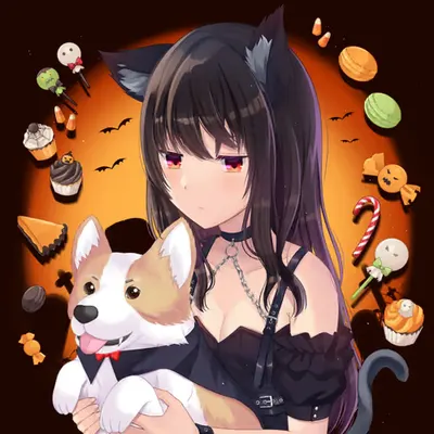 Black cat and vampire corgi