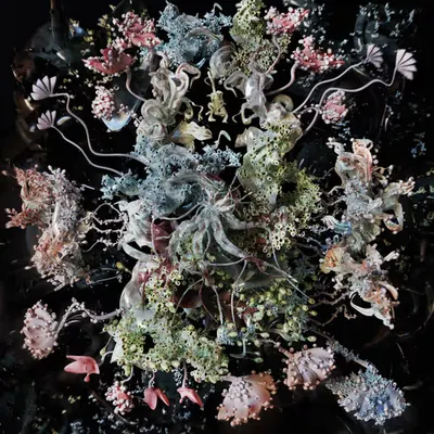 sea treasure