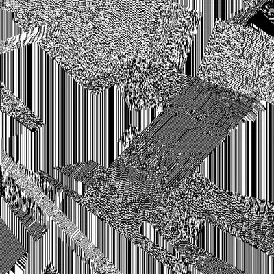 Rainforest 2