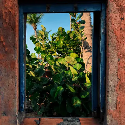 Window into the Beach Soul
