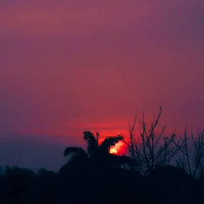 DK Sunset