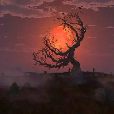 Harvest Moon (2018)