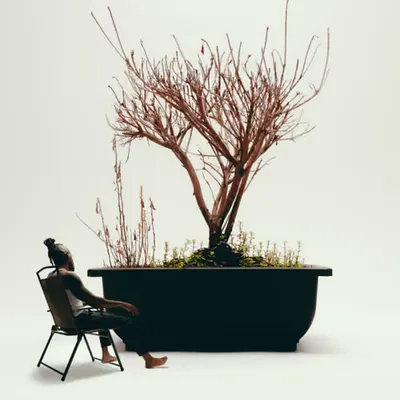 Waiting for Growth