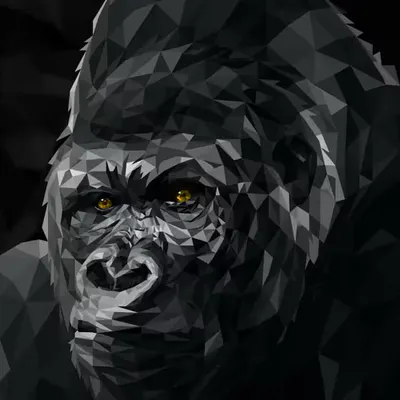 KONG
