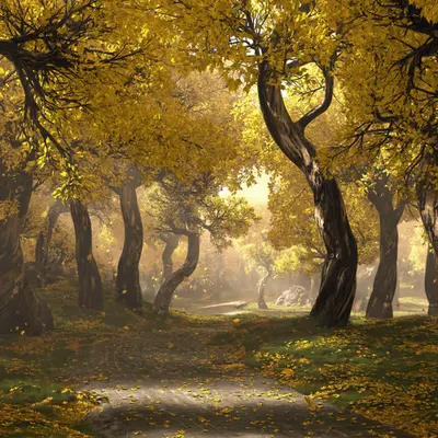Goldenwalk (2021)