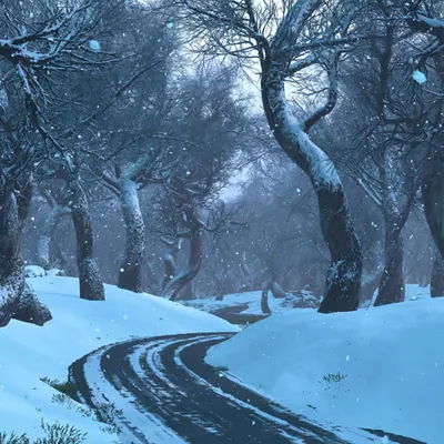 Winterwalk (2021)