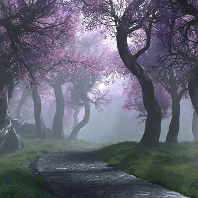 Springwalk (2021)