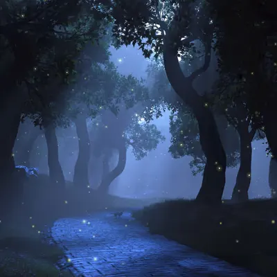 Nightwalk (2021)