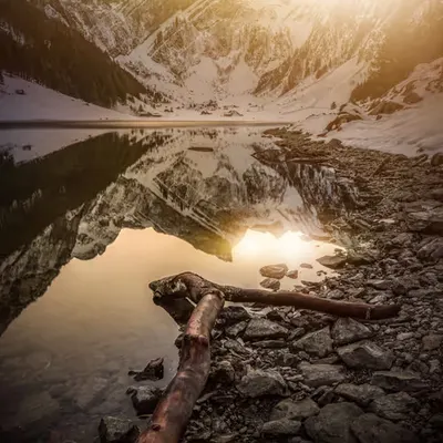 Alpine Lights - Voices #21