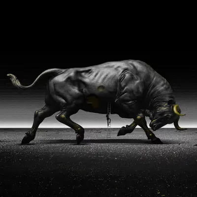 MATADOR