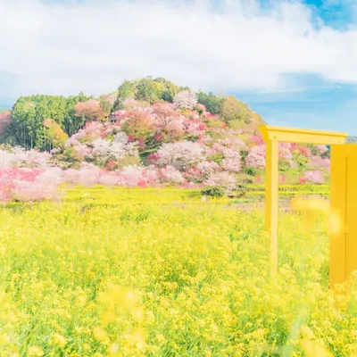 Heaven in Japan