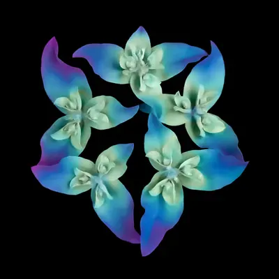❀.15