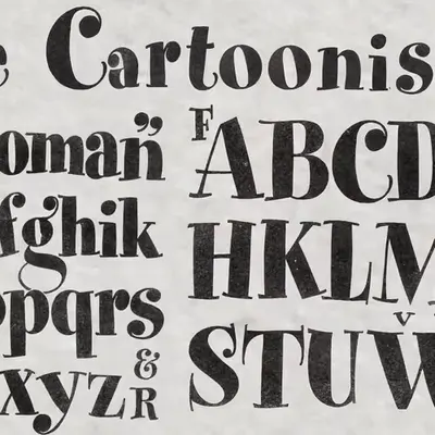 The cartoonist
