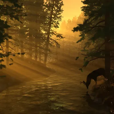 Idyll (2004)