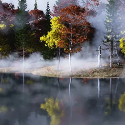 Reflected Autumn (2021)