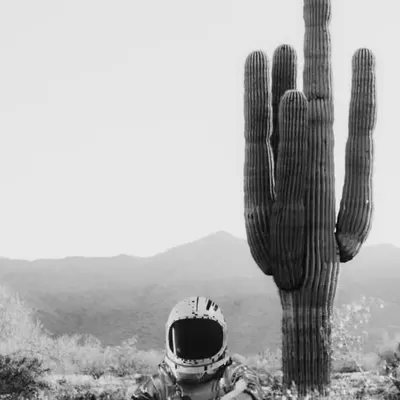 The boy who fell to Earth