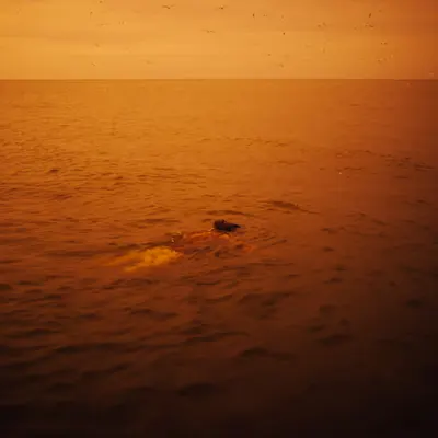 A WEIGHTLESS DREAM