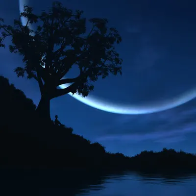 Reverie (2006)