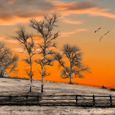 Tranquility Dawn