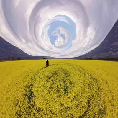 Crop circles