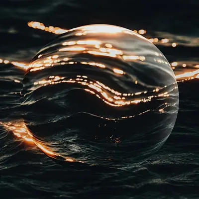 Aquatic