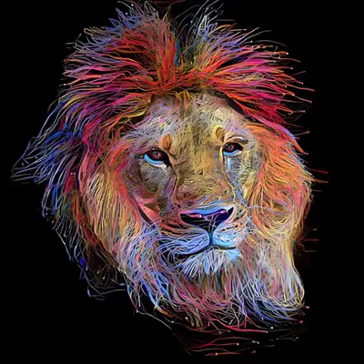 The-Absolute-King