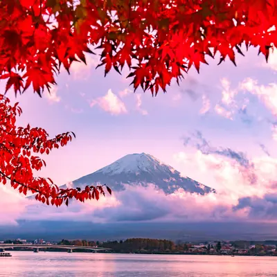 Mt. Fuji and Autumn Dusk