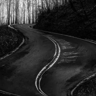The Dark & Winding
