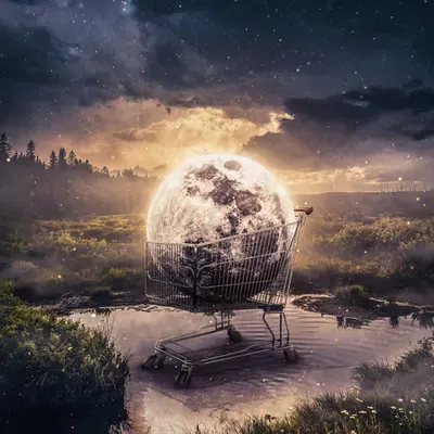 Shop the moon