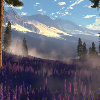 Lupine Vale (2021)