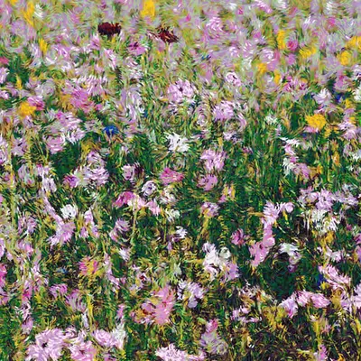 Spring Day #1