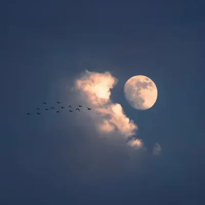 La luna