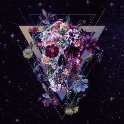 New Skull