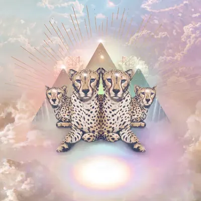 Cosmic Coalition