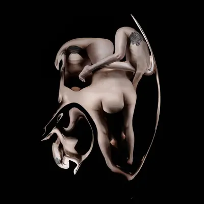The Human Structure