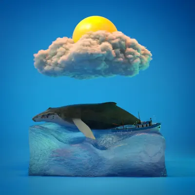 The Ocean