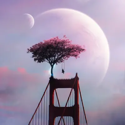Sky swing