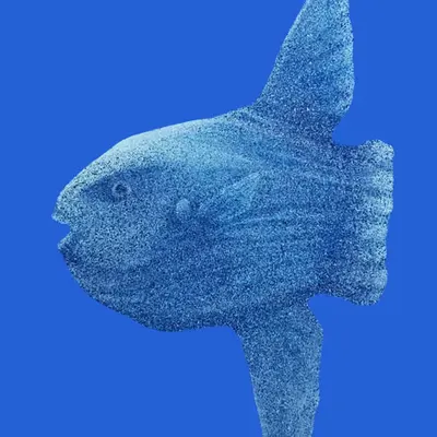 Blue Ocean I