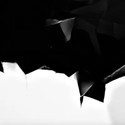 R-Distiny Black 27.11