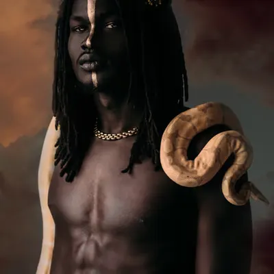 The Healer