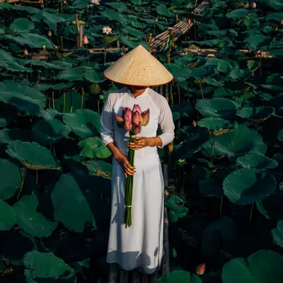 Being Lotus