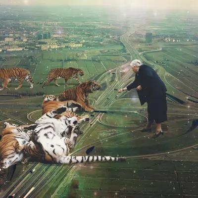 Tigers Highway