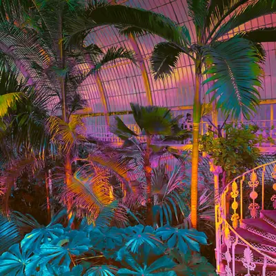 Ember Island Conservatory