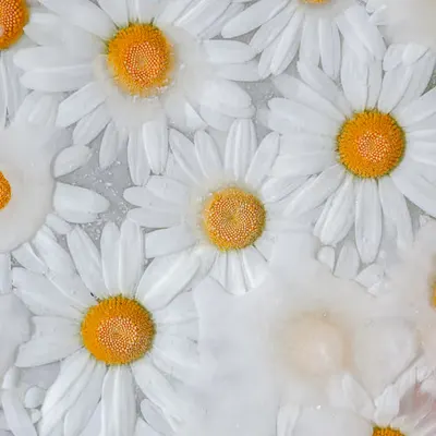 'Spring' Token