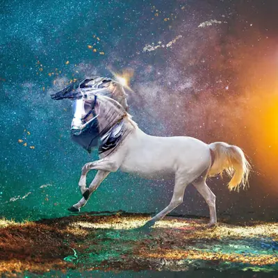 Wild Space Horse