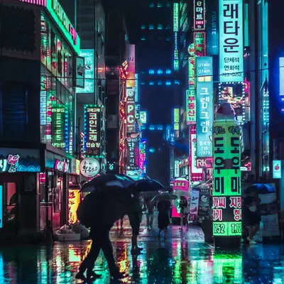 Neon in the Night
