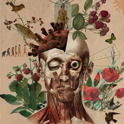 "THE ASURA"