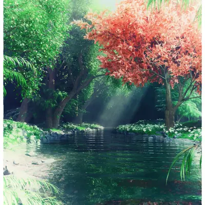 The Calm