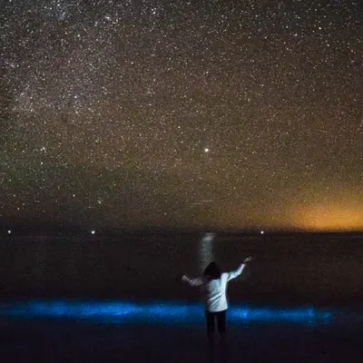 Genesis: Darak Beach