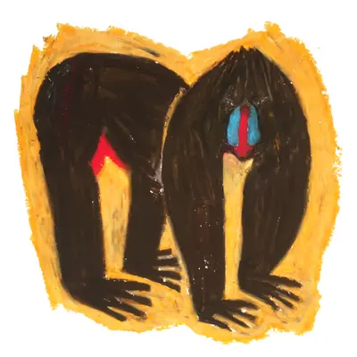Mandrill Monkey